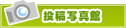 投稿写真館 | タウンガイド川口